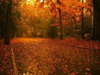 Fall Wallpaper