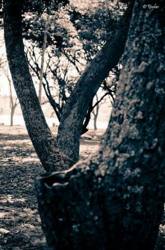 iPhone Windows Phone Android HD Wallpaper By Yadavthyagaraj On