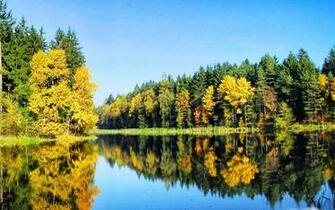 Wallpaper For Laptop Widescreen Full HD Nature Background