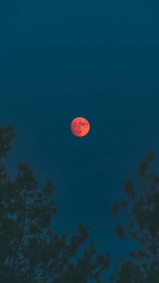 Moon Phone Wallpaper