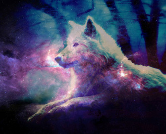 Galaxy Wolf Wallpaper