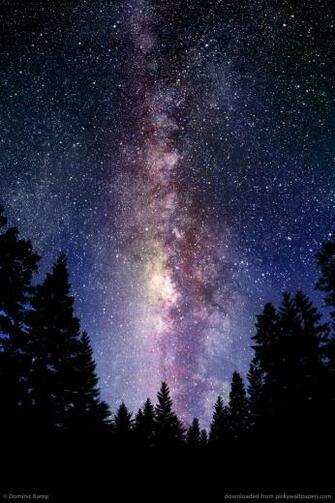 Submit Use Picky Wallpaper Rss