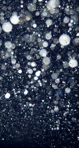 iPhone Wallpaper Glitter For iPhones