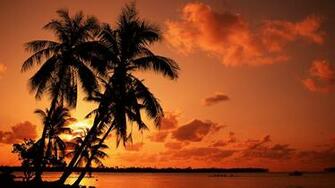 Tropical Beaches Dream Romantic Paradise With Resolutions