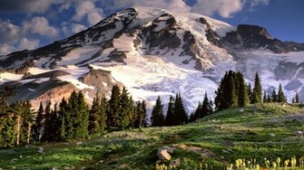 Mt Rainier Wallpaper