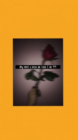 Aesthetic Yellow Rose Miss Sad Wallpaper Background