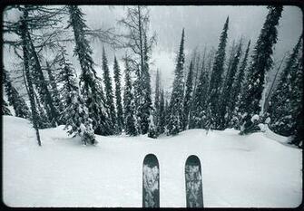 Ski Powder Wallpaper Skiing Was First Published