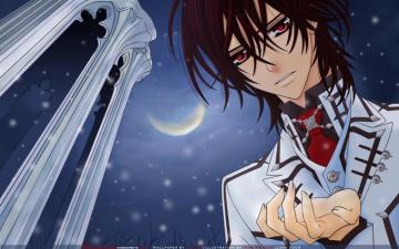 Vampire Knight HD Wallpaper