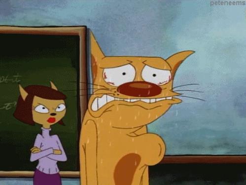Catdog Image Gifs Wallpaper And Background Photos