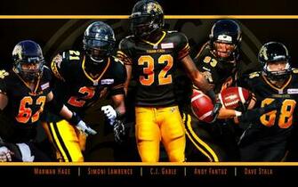 Tiger Cats Wallpaper Greg