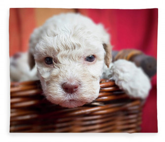 Lagotto Romagnolo Name Means Lake Dog Fleece Blanket By Animal