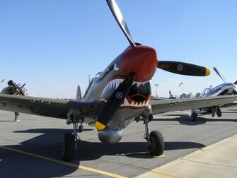 Warhawk Wallpaper Curtiss P By