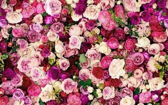 Just Love This Kate Spade Wallpaper And The Color It Has Added To Our