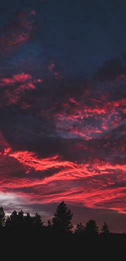 Wallpaper Colorful Clouds Sunset Dark Tree