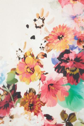 Flowers Wallpaper And Background Image Fall Flower