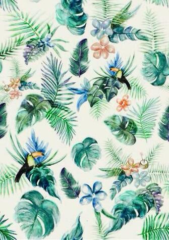 Background Bird Chill Green iPhone Pretty Tropical Wallpaper