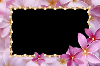 Photoshop Png Frames Wallpaper Designs Love Frame
