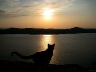 Zonsondergang Hemel Silhouet Blauw Wallpaper