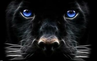 Animals Zoo Park Black Dog Wallpaper For Desktop
