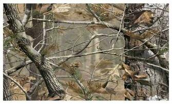 Pin Camo Browning Logo