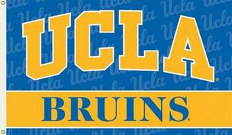 Ucla Logo Flag