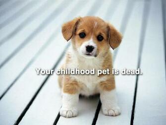 Offensive Wallpaper Your Childhood Pet Is Dead