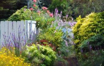 Wallpaper Nature Summer Garden Flowers