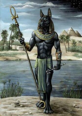 Anubis Wallpaper Curtilol Como Fazer
