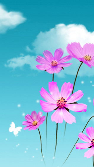 Flower iPhone Wallpaper