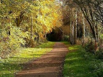 Country Road In The Fall Wallpaper Desktop