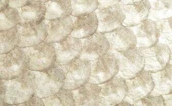 Mother Of Pearl Wall Covering Pc Android iPhone And iPad Wallpaper