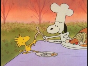 Peanuts Thanksgiving Wallpaper Grasscloth