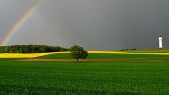 Green Fields Wallpaper