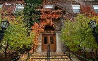 University Of Wisconsin Share The Wonderful