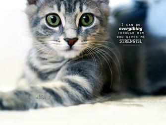 Philippians Desktop Wallpaper Animals Background
