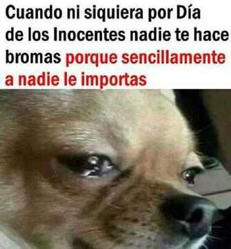 Memes Del D A De Las Bromas Los Santos Inocentes