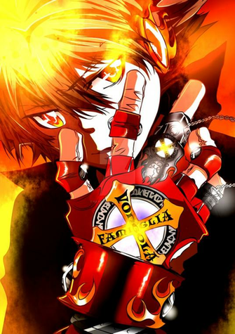 Hitman Reborn Tsuna Sawada Vongola Gear By