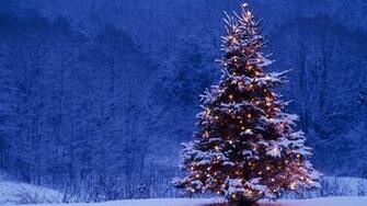 Beautiful Outdoor Christmas Tree Snow E Funnyphoto Co
