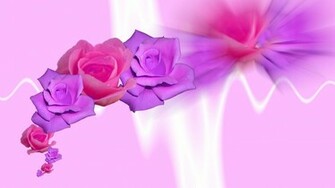 Purple Roses Wallpaper
