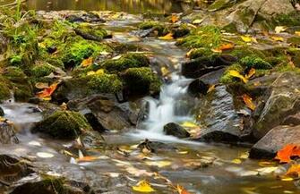 Duluth Minnesota Lester Park Wallpaper Nature