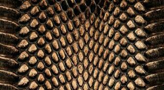 Reptile Skin Wallpaper
