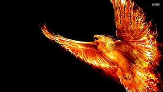 Phoenix Bird Wallpaper