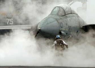 Tomcat HD Wallpaper Pictures