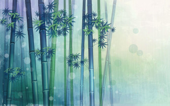 Bamboo Picture Wallpaper