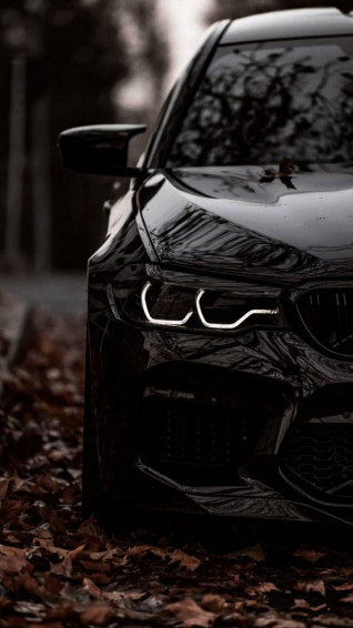 Beauty Bmw Cars Wallpaper