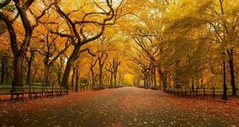 Autumn Scene Wallpaper Wallpaper55 Best