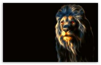 Lion Wallpaper
