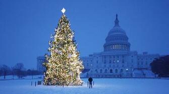 Christmas Tree Desktop Background Sf Wallpaper
