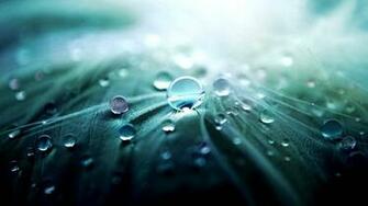 Great Wallpaper Widescreen
