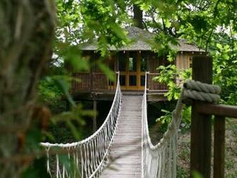 Tree House Wallpaper Jpg